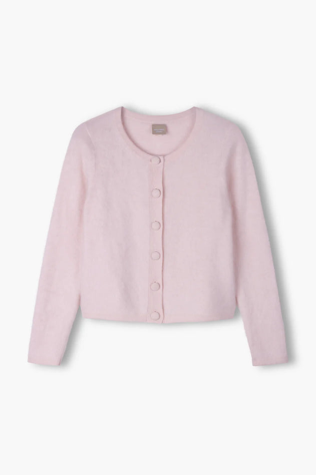 Pale pink cashmere round-neck cardigan, back view