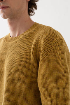 Men's Tam Organic Cotton Sweater Mustard