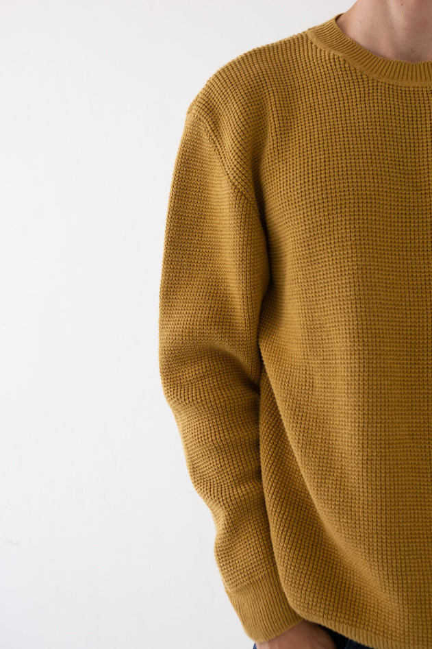 Men's Tam Organic Cotton Sweater Mustard
